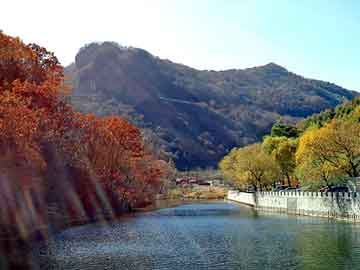 澳门二四六天天彩图库，黄泉逆旅